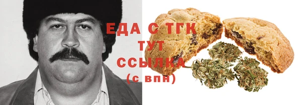 spice Гусев