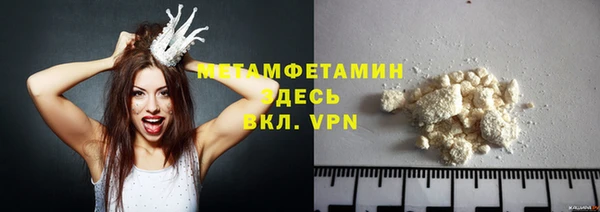 индика Гусиноозёрск