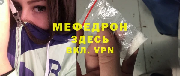 индика Гусиноозёрск
