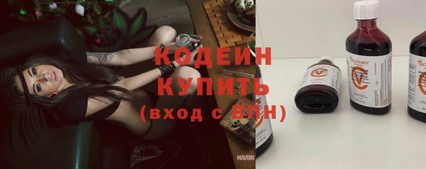 индика Гусиноозёрск