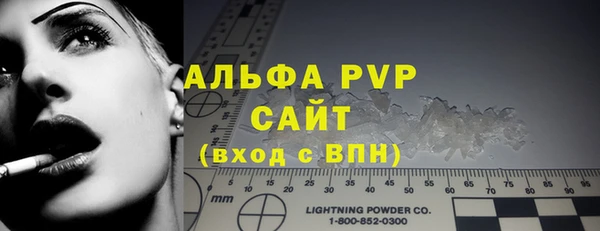 индика Гусиноозёрск