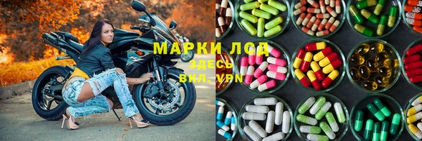 spice Гусев