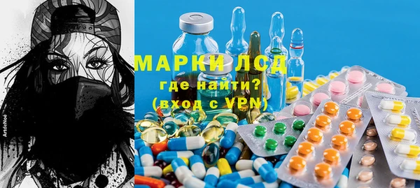 индика Гусиноозёрск