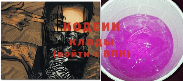 spice Гусев