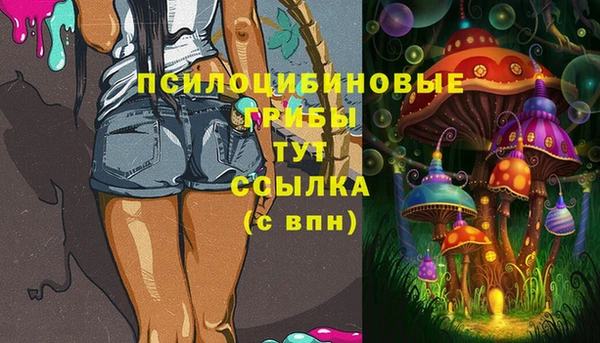 mdma Гусь-Хрустальный