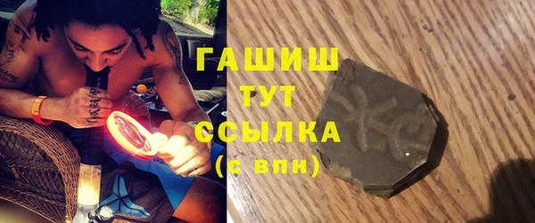 индика Гусиноозёрск