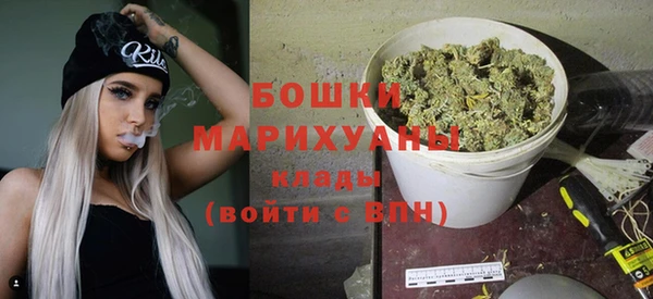 индика Гусиноозёрск