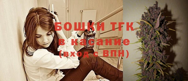 spice Гусев