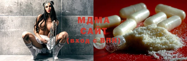 spice Гусев