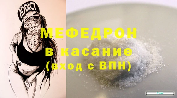 индика Гусиноозёрск
