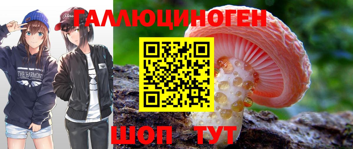 Псилоцибиновые грибы Magic Shrooms  Галлюциногенные грибы ЛСД  Вход с VPN  что такое наркотик  Губкинский 