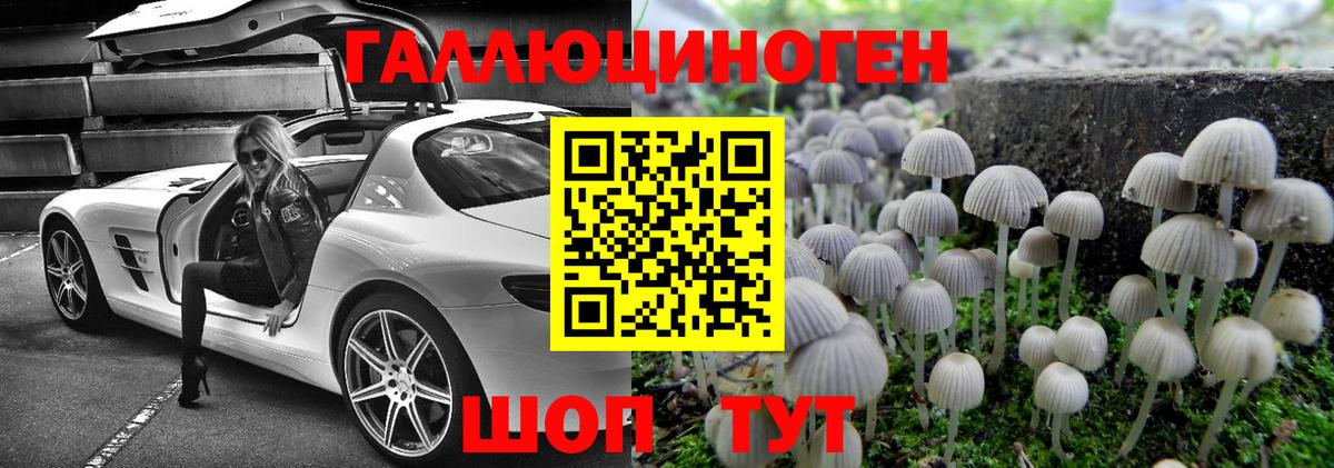 Псилоцибиновые грибы мицелий Губкинский
